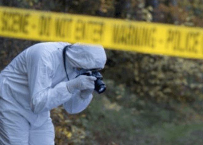 Imagen de la noticia: Brutal asesinato en Aragua: Cicpc esclarece homicidio de joven de 24 años