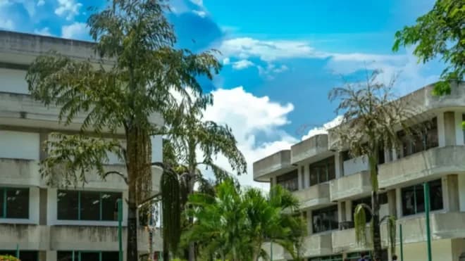 Imagen de la noticia: Ministerio de Educación Universitaria: CNU evaluará sanciones a la UBA y mecanismos para validar títulos de estudiantes