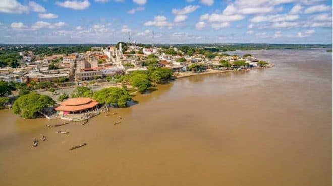 Imagen de la noticia: Crecida del Orinoco obliga a ganaderos a evacuar sus rebaños de emergencia