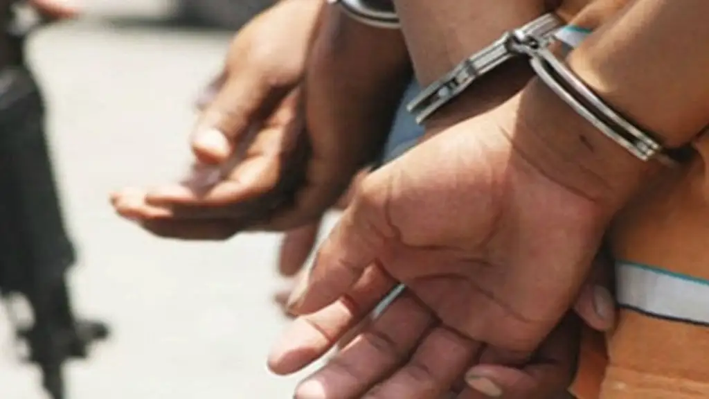 Imagen de la noticia: Detenidos cinco sujetos por saquear viviendas desalojadas tras sismos en La Guaira
