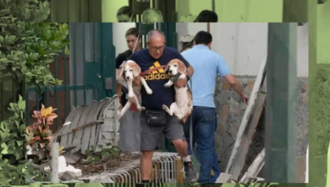 Imagen de la noticia: Lanzan plataforma digital para localizar mascotas extraviadas tras los sismos en el norte del país